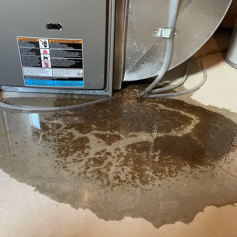 Appliance Leak Cleanup in Tipton, CA